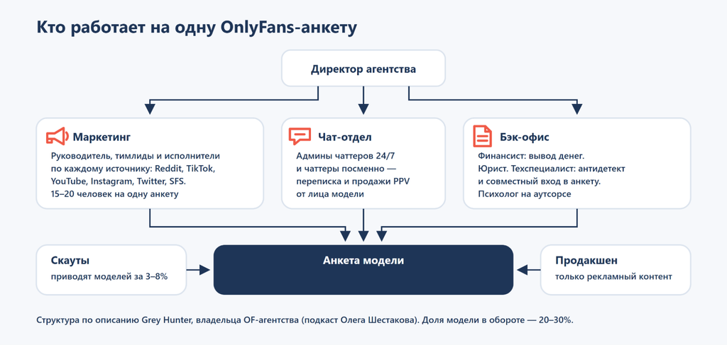 Оргсхема OnlyFans-агентства: директор, маркетинг, чат-отдел, бэк-офис, скауты и продакшен вокруг анкеты модели
